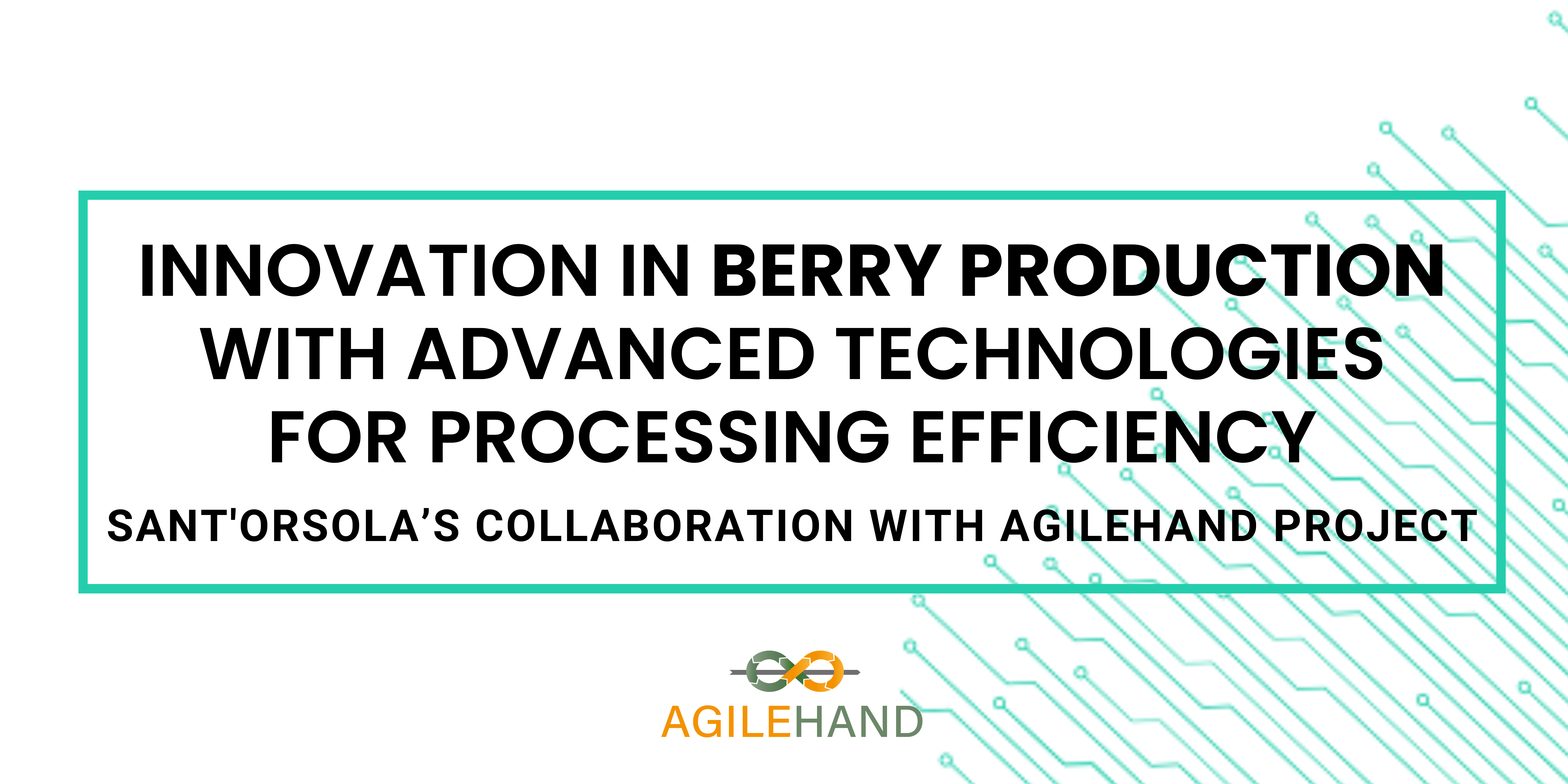 Changing the berry production scope: Sant’Orsola’s collaboration with AGILEHAND project