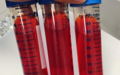 Bacterioruberin: natural pigment for cosmetics & food industries